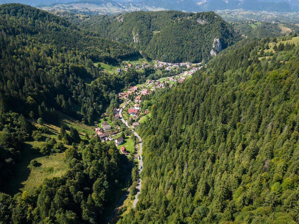 Oasis Mountain Villa Brasov Exterior photo