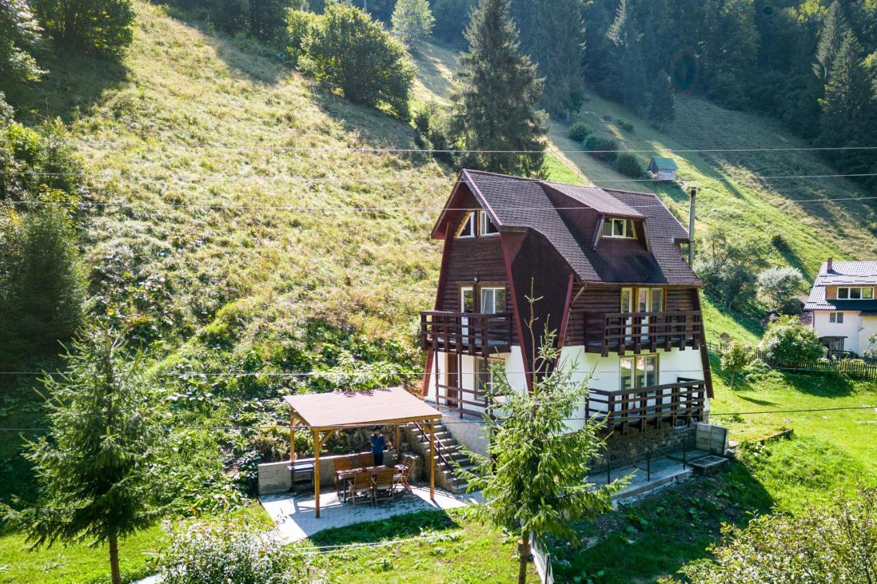 Oasis Mountain Villa Brasov Exterior photo